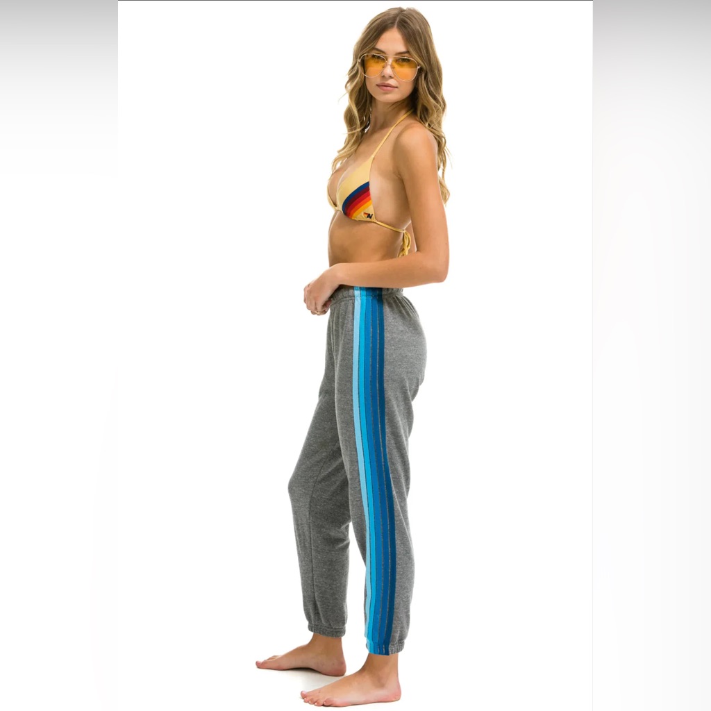Aviator Nation 5 Stripe Sweatpants In Heather Grey/Blue